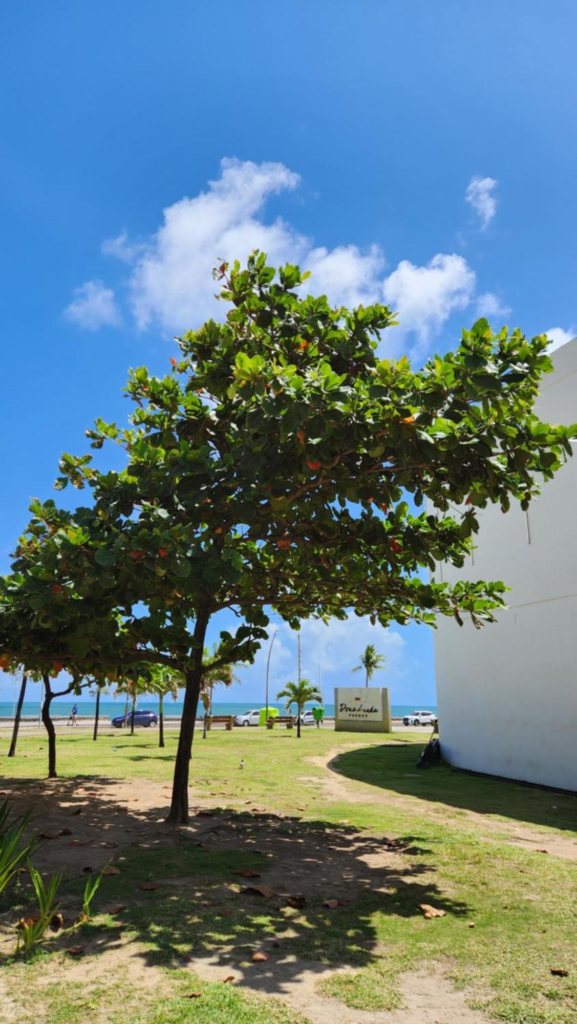Apartamento Beira Mar Boa Viagem Récife Extérieur photo